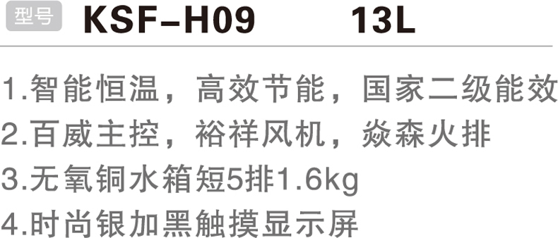 KSF-H09 13L-.jpg